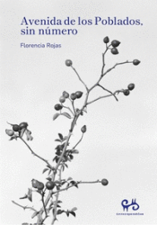 Portada de AVENIDA DE LOS POBLADOS SIN N&Uacute;MERO
