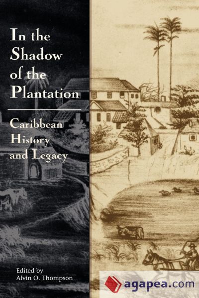 In the Shadow of the Plantation