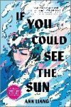 If You Could See the Sun