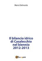 Portada de Il bilancio idrico di Casalecchio nel biennio 2012-2013 (Ebook)