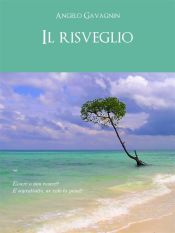 Il risveglio (Ebook)