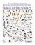 Illustrated checklist of the birds of the world