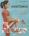 Anatom&iacute;a De Los Estiramientos