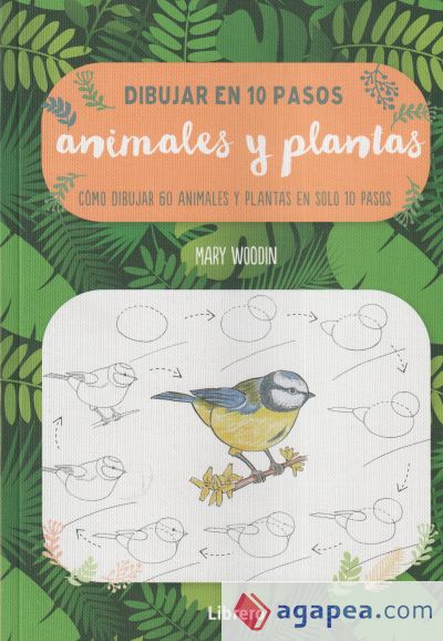 Dibujar animales y plantas en 10 pasos