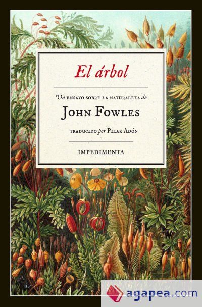 El árbol El árbol