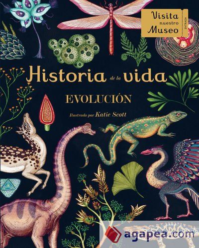 Historia de la vida: Evolución Historia de la vida: Evolución