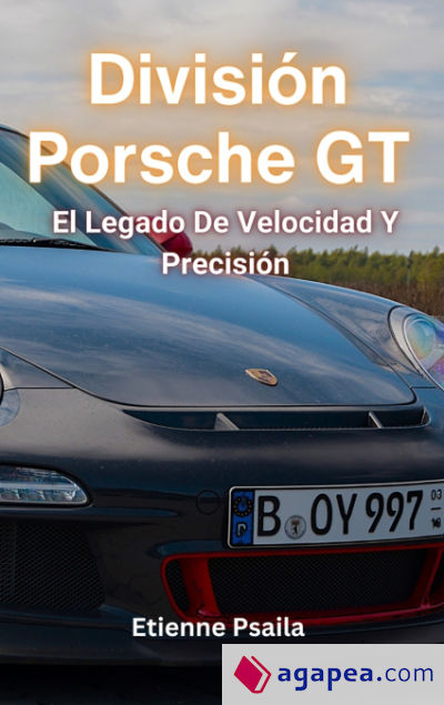 División Porsche GT