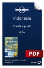 Portada de Indonesia 5_1. Preparación del viaje (Ebook)