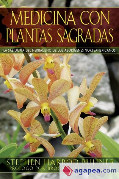 Medicina con plantas sagradas