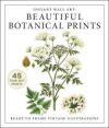 Instant Wall Art: Beautiful Botanical Prints: Ready-To-Frame Vintage Illustrations