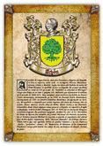Portada de Apellido Ach&oacute;n (PDF de Lectura e Impresi&oacute;n) (Ebook)