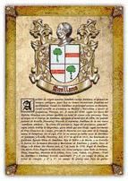 Portada de Apellido Amillano / Origen, Historia y Her&aacute;ldica de los linajes y apellidos espa&ntilde;oles e hispanoamericanos (Ebook)