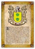 Portada de Apellido Biarn&eacute;s / Origen, Historia y Her&aacute;ldica de los linajes y apellidos espa&ntilde;oles e hispanoamericanos (Ebook)