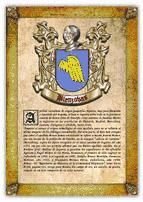 Portada de Apellido Bienzobas / Origen, Historia y Her&aacute;ldica de los linajes y apellidos espa&ntilde;oles e hispanoamericanos (Ebook)