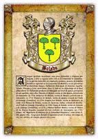 Portada de Apellido Bolado / Origen, Historia y Her&aacute;ldica de los linajes y apellidos espa&ntilde;oles e hispanoamericanos (Ebook)