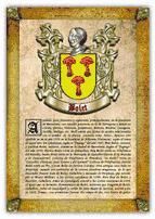 Portada de Apellido Bolet / Origen, Historia y Her&aacute;ldica de los linajes y apellidos espa&ntilde;oles e hispanoamericanos (Ebook)