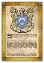 Portada de Apellido Boué / Origen, Historia y Heráldica de los linajes y apellidos españoles e hispanoamericanos (Ebook)