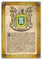 Portada de Apellido Cabello / Origen, Historia y Heráldica de los linajes y apellidos españoles e hispanoamericanos (Ebook)
