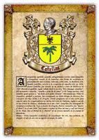 Portada de Apellido Cañellas / Origen, Historia y Heráldica de los linajes y apellidos españoles e hispanoamericanos (Ebook)