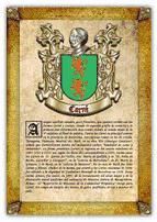 Portada de Apellido Carn&eacute; / Origen, Historia y Her&aacute;ldica de los linajes y apellidos espa&ntilde;oles e hispanoamericanos (Ebook)