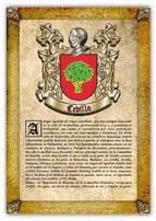 Portada de Apellido Cedillo / Origen, Historia y Heráldica de los linajes y apellidos españoles e hispanoamericanos (Ebook)