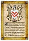 Portada de Apellido Cobisa (PDF de Lectura e Impresi&oacute;n) (Ebook)