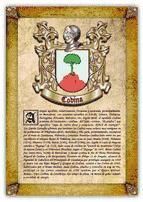 Portada de Apellido Codina / Origen, Historia y Heráldica de los linajes y apellidos españoles e hispanoamericanos (Ebook)