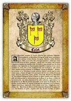 Portada de Apellido Colet / Origen, Historia y Heráldica de los linajes y apellidos españoles e hispanoamericanos (Ebook)