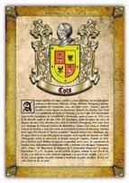 Portada de Apellido Cots / Origen, Historia y Heráldica de los linajes y apellidos españoles e hispanoamericanos (Ebook)