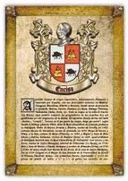 Portada de Apellido Enciso / Origen, Historia y Her&aacute;ldica de los linajes y apellidos espa&ntilde;oles e hispanoamericanos (Ebook)