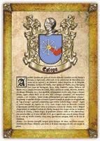 Portada de Apellido Estopa / Origen, Historia y Heráldica de los linajes y apellidos españoles e hispanoamericanos (Ebook)