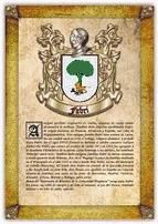 Portada de Apellido Fabri / Origen, Historia y Her&aacute;ldica de los linajes y apellidos espa&ntilde;oles e hispanoamericanos (Ebook)