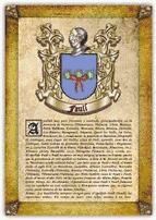 Portada de Apellido Faul&iacute; / Origen, Historia y Her&aacute;ldica de los linajes y apellidos espa&ntilde;oles e hispanoamericanos (Ebook)