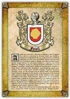 Portada de Apellido Fenoll / Origen, Historia y Her&aacute;ldica de los linajes y apellidos espa&ntilde;oles e hispanoamericanos (Ebook)