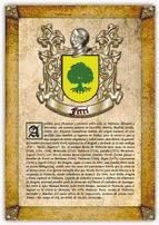 Portada de Apellido Ferri / Origen, Historia y Her&aacute;ldica de los linajes y apellidos espa&ntilde;oles e hispanoamericanos (Ebook)