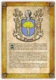 Portada de Apellido Flamas (PDF de Lectura e Impresi&oacute;n) (Ebook)