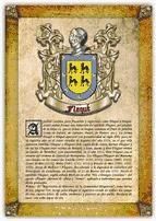 Portada de Apellido Flaqu&eacute; / Origen, Historia y Her&aacute;ldica de los linajes y apellidos espa&ntilde;oles e hispanoamericanos (Ebook)
