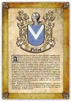 Portada de Apellido Fleitas / Origen, Historia y Her&aacute;ldica de los linajes y apellidos espa&ntilde;oles e hispanoamericanos (Ebook)