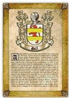 Portada de Apellido Gall / Origen, Historia y Heráldica de los linajes y apellidos españoles e hispanoamericanos (Ebook)