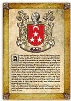 Portada de Apellido Galvan / Origen, Historia y Heráldica de los linajes y apellidos españoles e hispanoamericanos (Ebook)