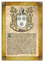 Portada de Apellido Galvez / Origen, Historia y Heráldica de los linajes y apellidos españoles e hispanoamericanos (Ebook)