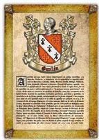 Portada de Apellido Gavilán / Origen, Historia y Heráldica de los linajes y apellidos españoles e hispanoamericanos (Ebook)