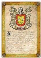 Portada de Apellido Gavilanes / Origen, Historia y Heráldica de los linajes y apellidos españoles e hispanoamericanos (Ebook)
