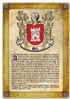 Portada de Apellido Geli / Origen, Historia y Her&aacute;ldica de los linajes y apellidos espa&ntilde;oles e hispanoamericanos (Ebook)