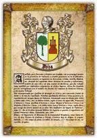 Portada de Apellido Ibiza / Origen, Historia y Her&aacute;ldica de los linajes y apellidos espa&ntilde;oles e hispanoamericanos (Ebook)