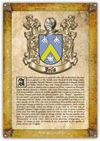Portada de Apellido Jol&iacute;s / Origen, Historia y Her&aacute;ldica de los linajes y apellidos espa&ntilde;oles e hispanoamericanos (Ebook)