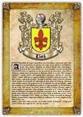 Portada de Apellido Llor&aacute; (PDF de Lectura e Impresi&oacute;n) (Ebook)