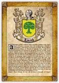 Portada de Apellido Llorach (PDF de Lectura e Impresi&oacute;n) (Ebook)