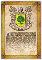 Portada de Apellido Lloret.(Valencia) / Origen, Historia y Her&aacute;ldica de los linajes y apellidos espa&ntilde;oles e hispanoamericanos (Ebook)