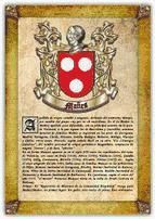 Portada de Apellido Mañes / Origen, Historia y Heráldica de los linajes y apellidos españoles e hispanoamericanos (Ebook)
